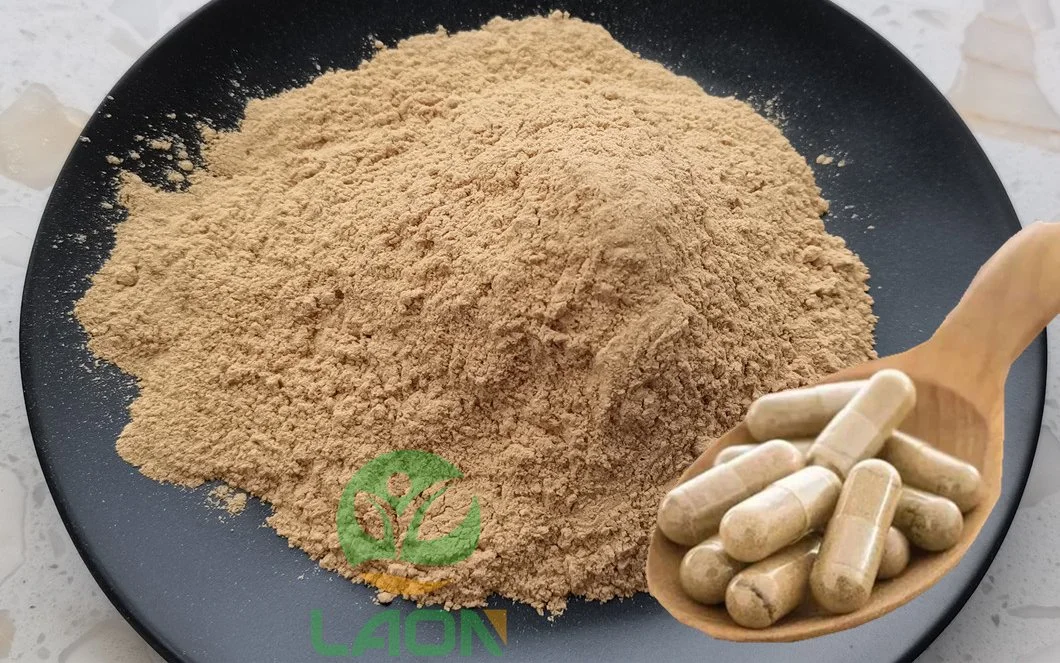 Silymarin 80% UV HPLC Silybin Milk Thistle Extract