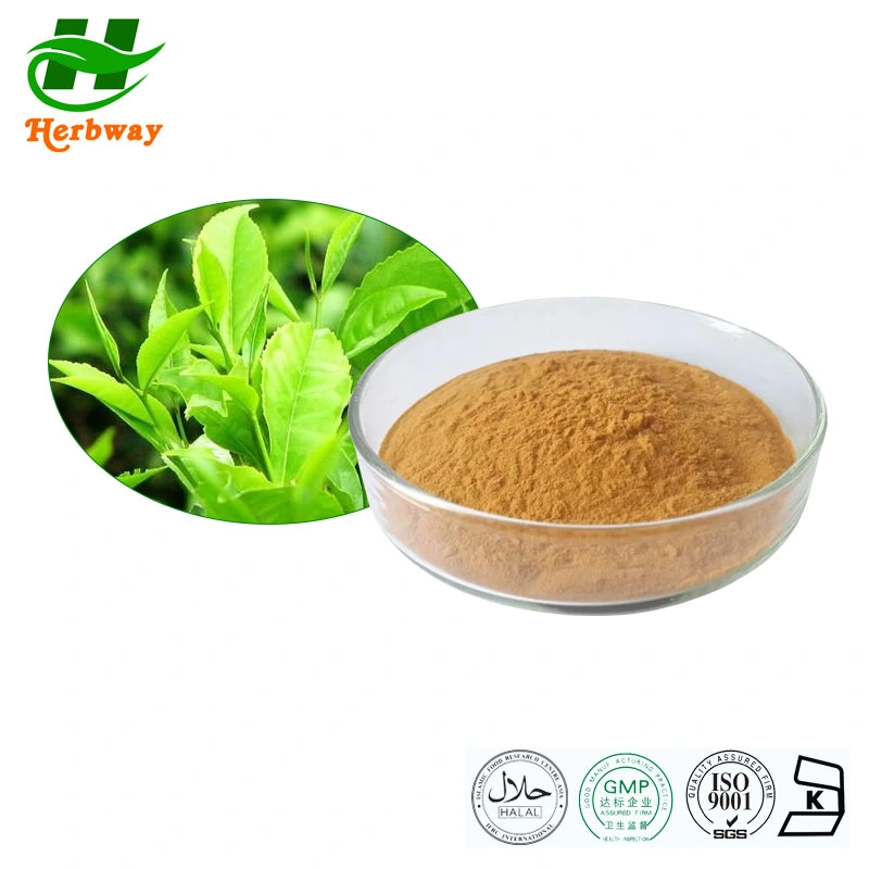 Herbway Echinacea Purpurea Extract, Best Price, Hot Sale Purple Coneflower, High Quality and High Efficiency Manufacturer, Supplier From China, Plant Extract