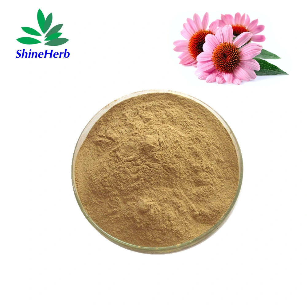 CAS 90028-20-9 Natural Echinacea Purpurea Extract Powder 4% 7% Echinacea