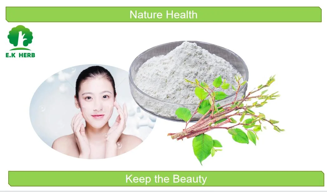 E. K Herb 12 Years Manufacturer Directly Supply Antixoidant Anti-Aging 98% Resveratrol Powder CAS 501-36-0 Natural Resveratrol Polygonum Cuspidatum Extract