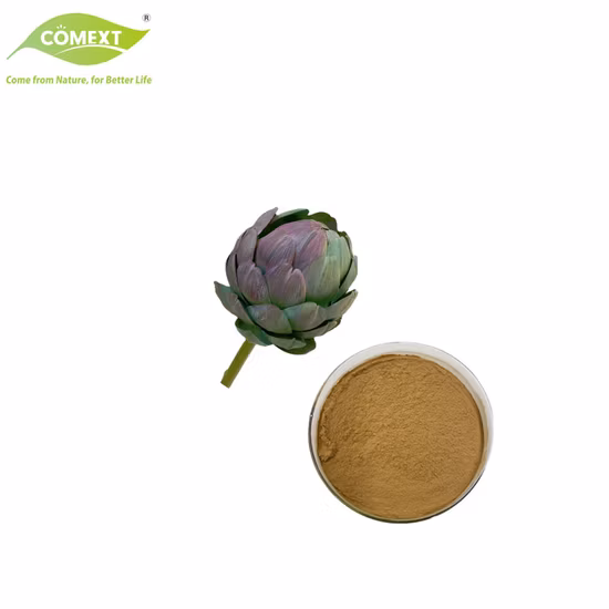 아티초크 추출물 분말 10:1 ~ 200:1 Cynara Scolymus 추출물