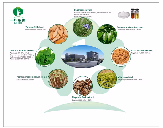 World Well-Being Biotech ISO 및 FDA 인증 아티초크, 녹색 커피콩, 금은화, Eucommia Ulmoides에서 추출한 5-98% 클로로겐산 추출물