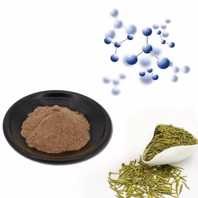 녹차추출물, EGCG, 허브추출물, 차폴리페놀